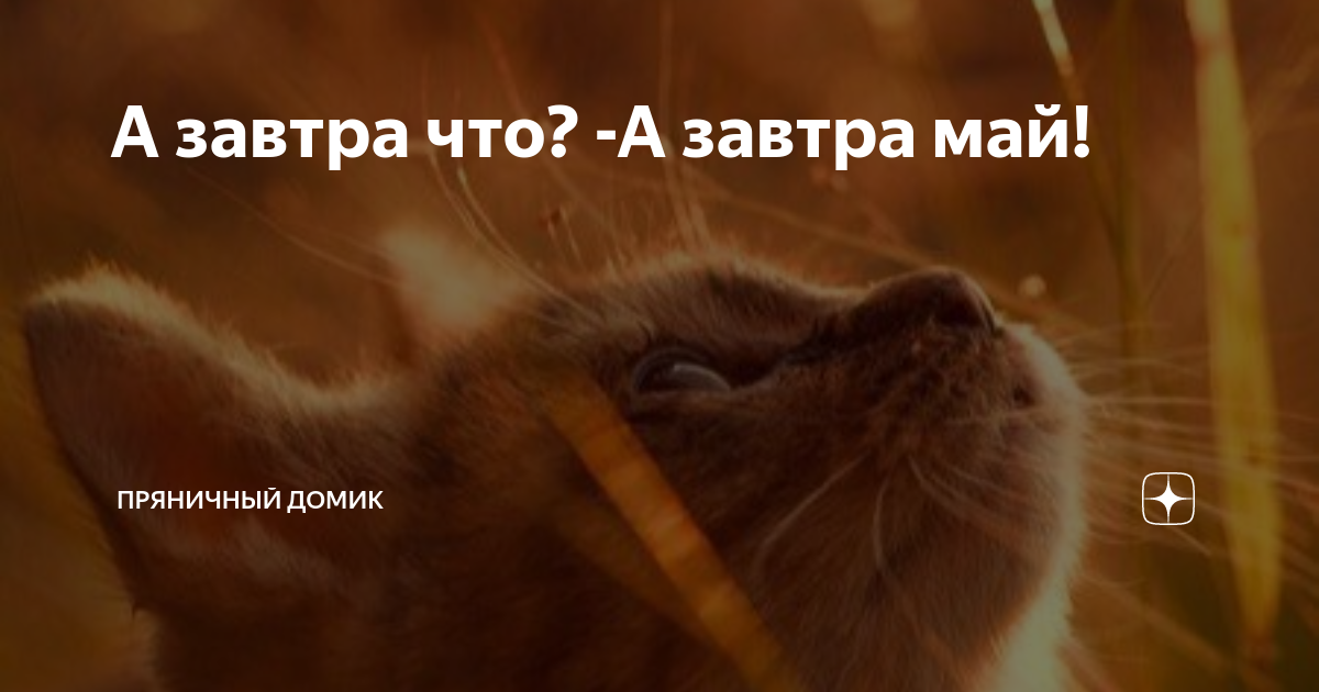 А завтра что а завтра май картинки