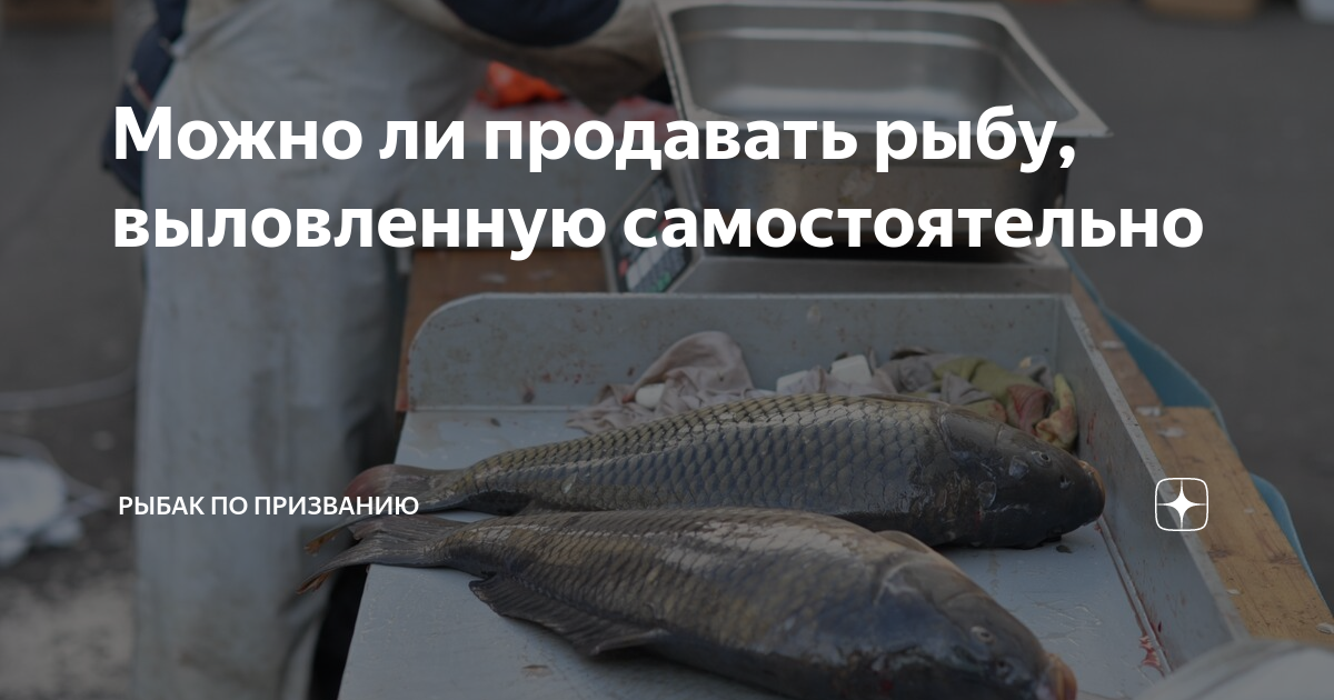 Рыбов продаете картинка