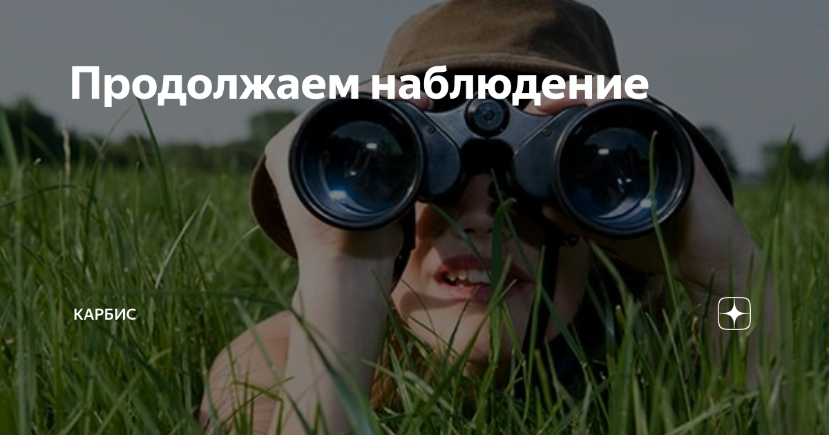 Наблюдение 9. Продолжайте наблюдение. Продолжаю вести наблюдение. Продолжайте наблюдение ДМБ. Продолжаем наблюдение Мем.