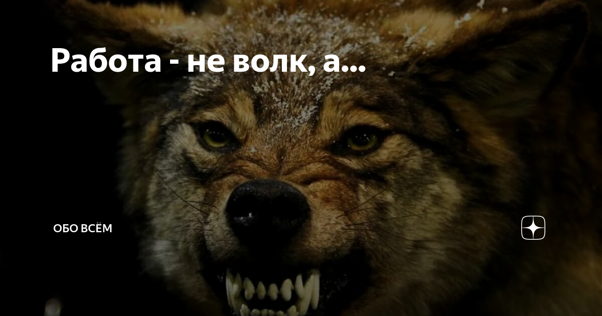 Работа не волк ворк фото и видео EAPA.ru