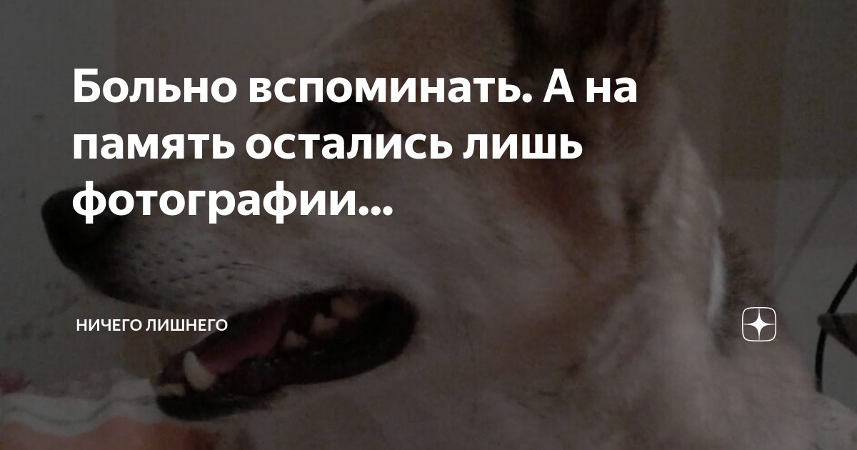 Рассказ ждановой лишняя в погоне за счастьем. Ничего лишнего дзен. Так больно вспоминать стихи.