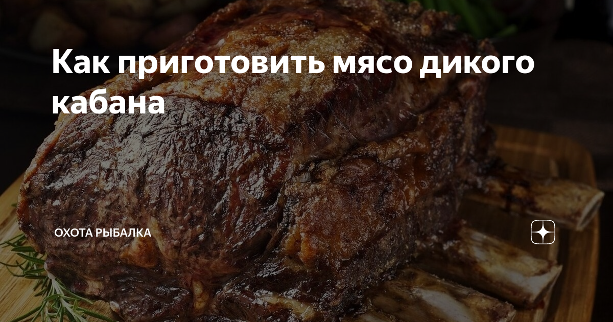 Как готовить мясо кабана: Кабанятина с черносливом и грецкими орехами