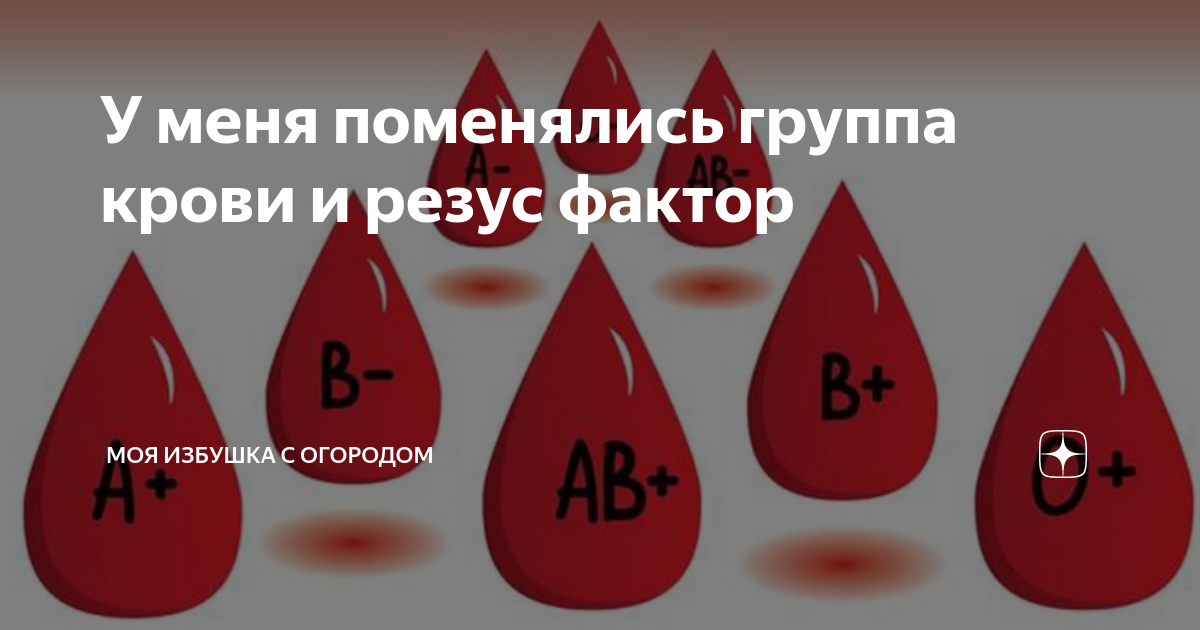 Группа крови может меняться. Изменилась группа крови. Меняется ли резус-фактор крови у человека в течении жизни. Меняется ли группа крови у человека.
