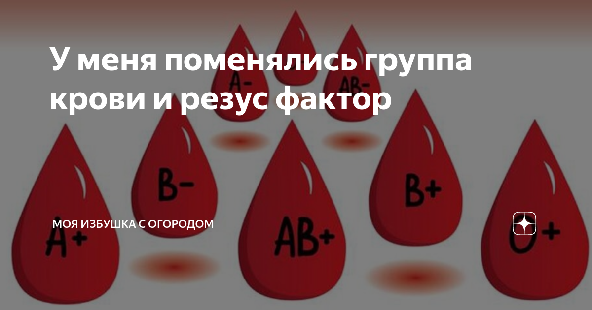 Резус 6 букв. Меняется ли группа крови. Группа крови может меняться. Меняется ли резус-фактор крови у человека в течении жизни. Меняется ли группа крови у человека.