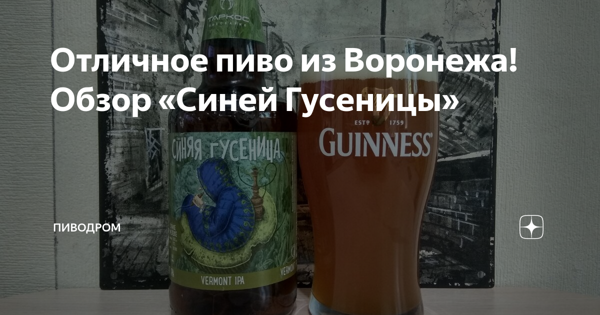 Отличное пиво из Воронежа! Обзор «Синей Гусеницы» | Пиводром | Дзен