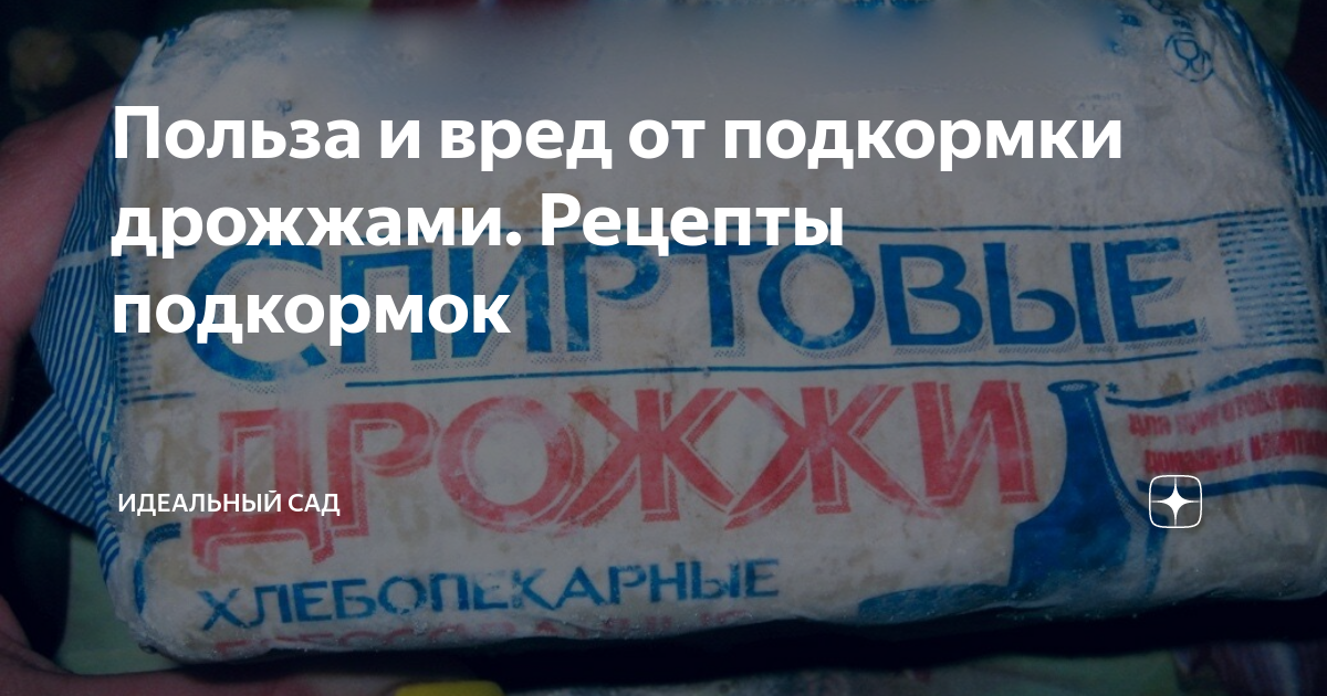 Дрожжи вред. Подкормка дрожжами польза или вред. Дрожжевая подкормка Истлайф Экстра Yeastlife Extra.