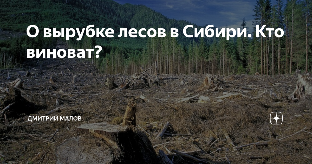 Незаконная вырубка лесов на плато Путорана. Типа вырубило пнём.