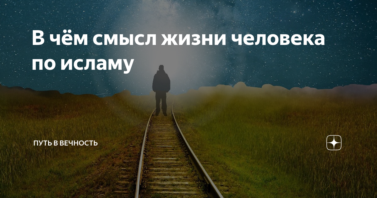 В чем смысл жизни человека. О смысле жизни. Смысл жизни человека. Суть жизни. В чем смысл жизни.