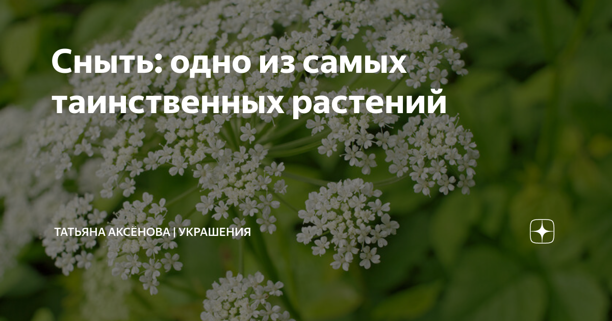 Сочинение по картине сныть трава