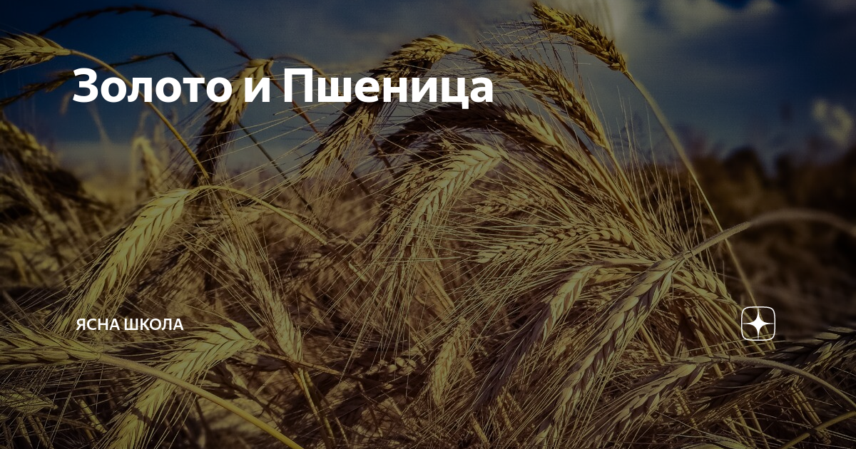 Золото и Пшеница | Русская Ясна | Дзен
