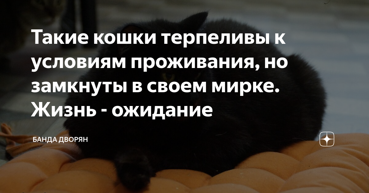 Чтобы быть счастливым надо жить в своем собственном раю. Вычеркнуть из жизни ненужных людей. Мудрое дерево. Пчела думает что живет своей жизнью. Живет в своем мирке 9 букв.