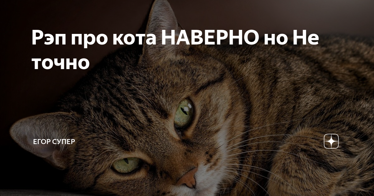 Супер кот призрак. Супер кот дзен. Игры с супер котом и котенком аби. Супер кот дзен. Кот нуар арт.