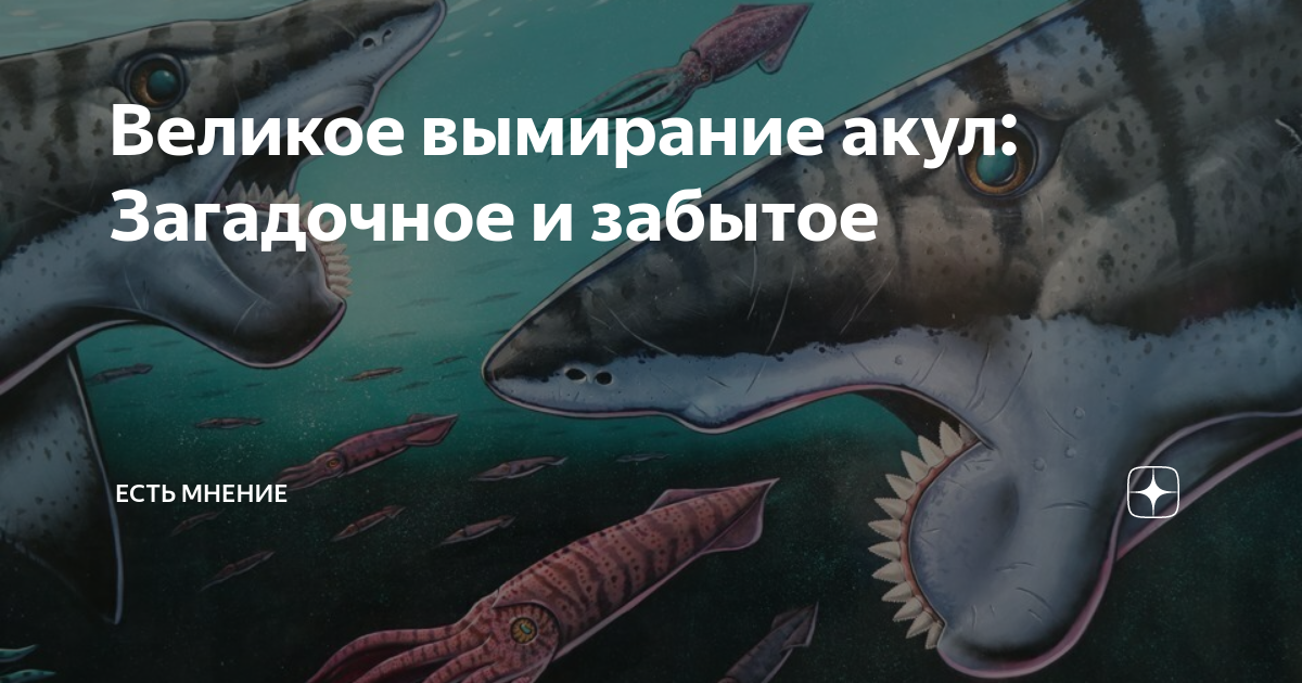 сколько людей умирает в год от акул