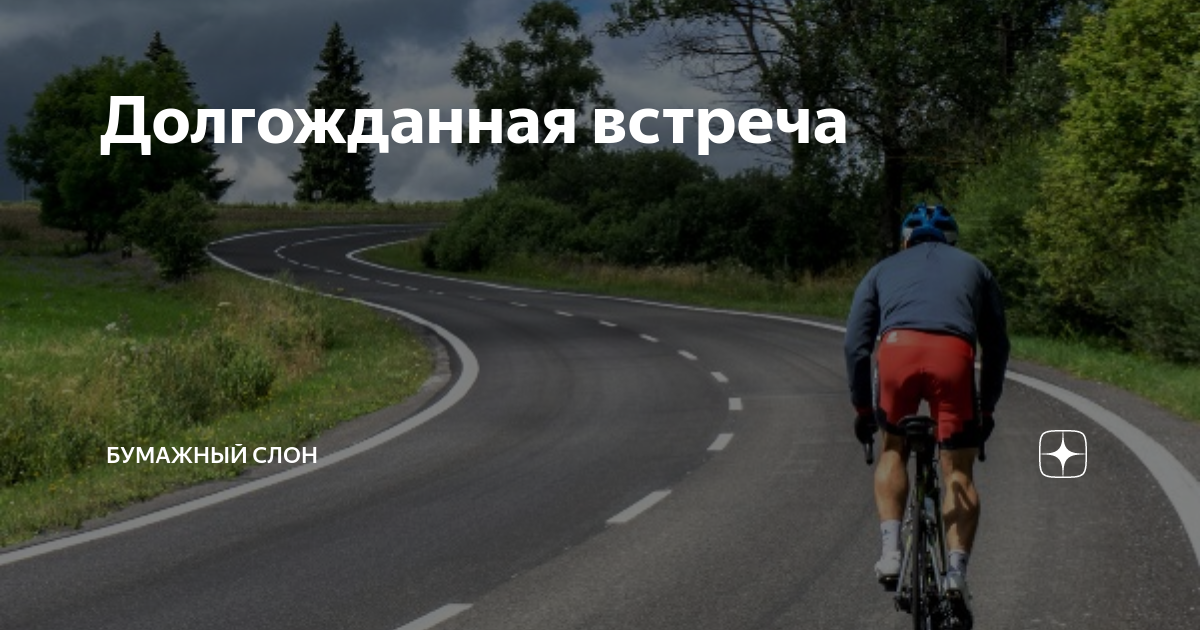 Долгожданная встреча | Бумажный Слон | Дзен