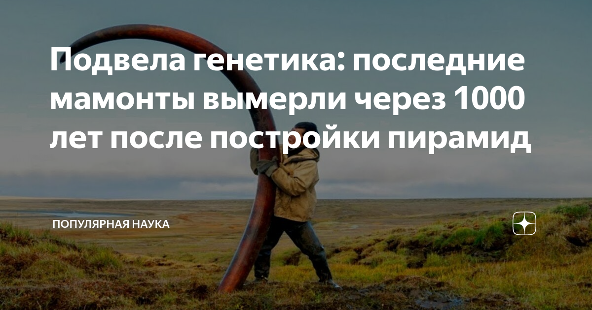 сколько лет назад были мамонты