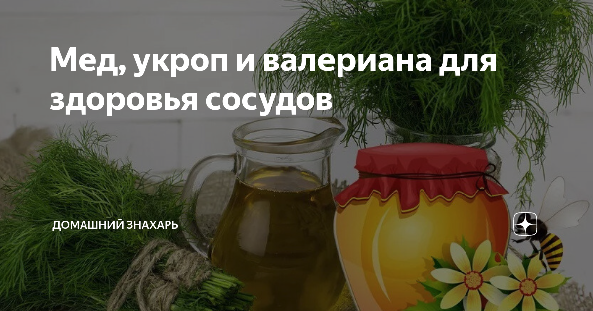 Народные средства для чистки кровеносных сосудов. Чистка сосудов укропом. Народная медицина сосуды. Народная медицина сосуды. Очистка сосудов укропом.