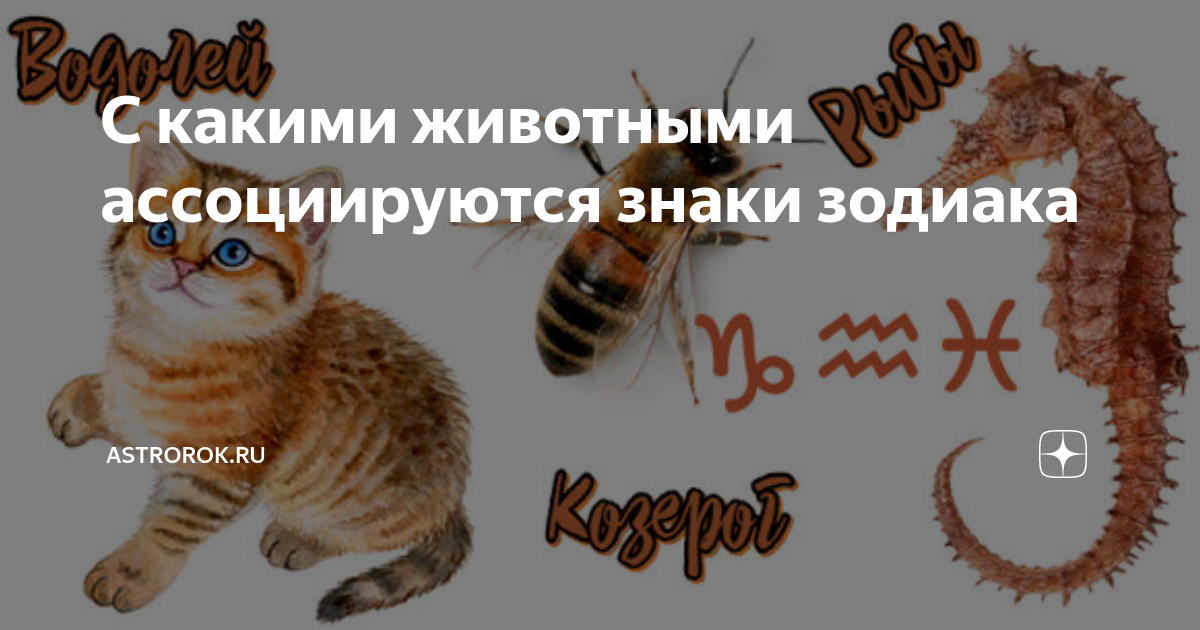 кто я из животных по знаку зодиака
