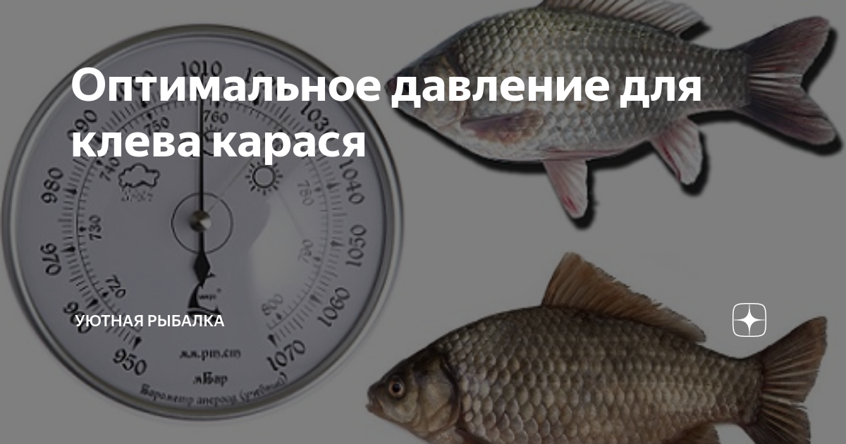 Какое давление должно быть для рыбалки. Атмосферное давление для рыбалки. давление для рыбалки. оптимальное давление для ловли карася. рыбалка давление для рыбалки.