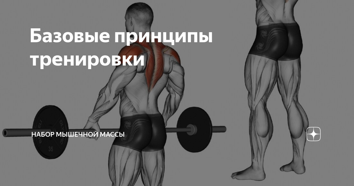 Базовые упражнения для набора мышечной. Базовые упражнения для набора мышечной массы. Набор мышечной массы ягодиц. Суперсет для набора массы. Принципы набора мышечной массы