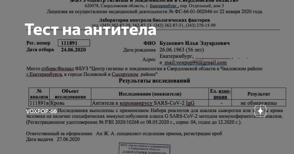 Приходить результат. Справка о наличии антител. Как выглядит справка на антитела. Справка о наличии антител к коронавирусу. Справка на антитела к коронавирусу как выглядит.