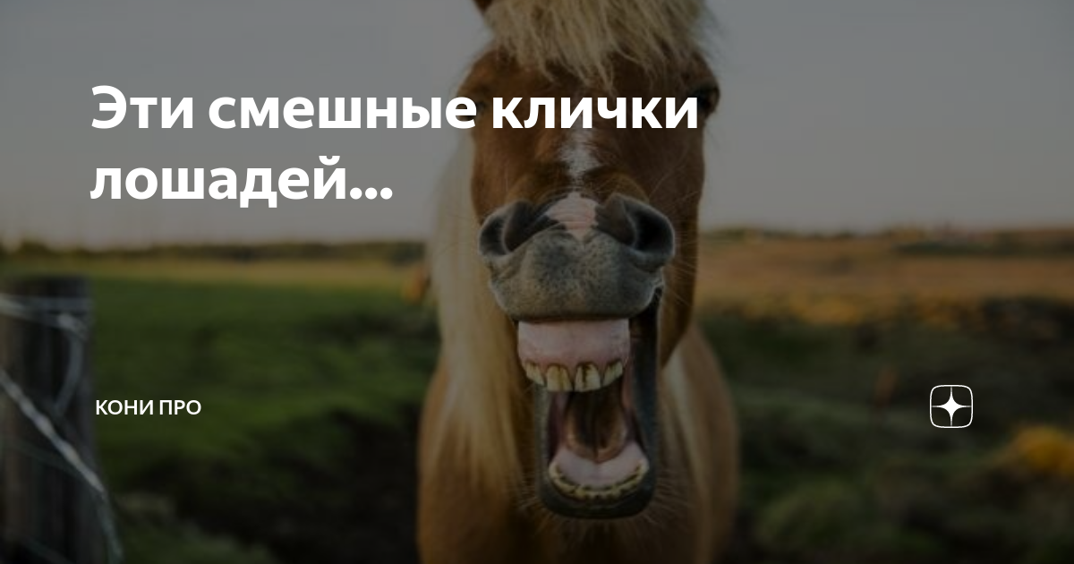 Расскажи мне про коня