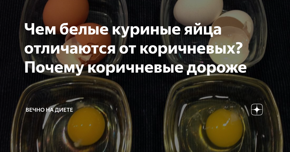 Чем белые куриные яйца отличаются от коричневых? Почему коричневые ...