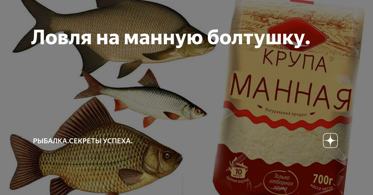 Болтушка из манки для плотвы