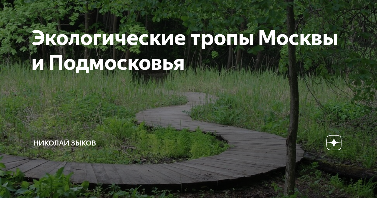 Экологическая тропа москва. Экотропы в Москве. Экологическая тропа в Москве. Экологическая тропа Московский. Новая эко тропа Москвы.