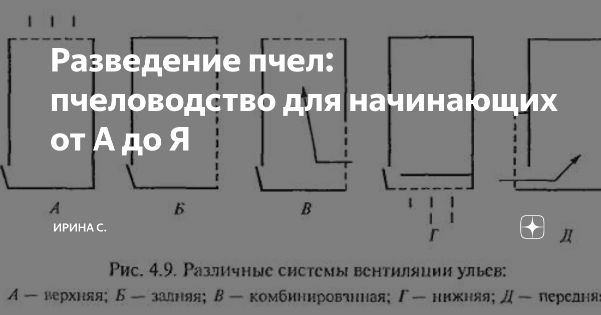 Ульи для пчел: дом для медоносных тружеников