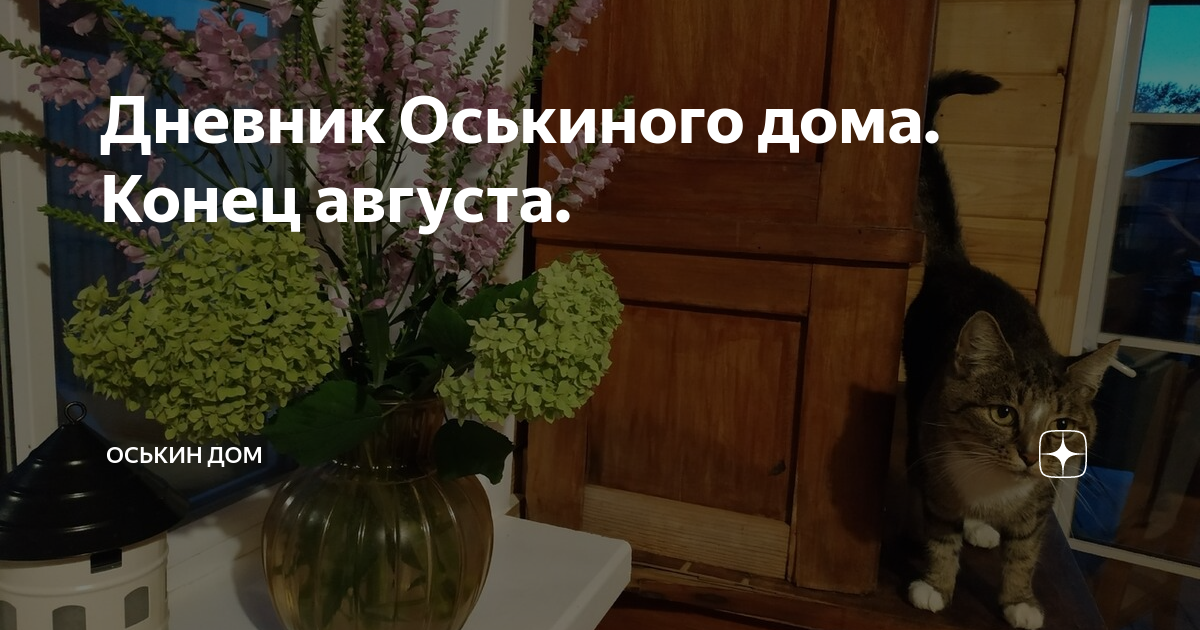 Приют для кошек в твери оськин дом. Дом в оськино за 1000800 покажите. Оськин дом. Дом счастливых хвостов. Оськин дом прошлогодние выпуски.