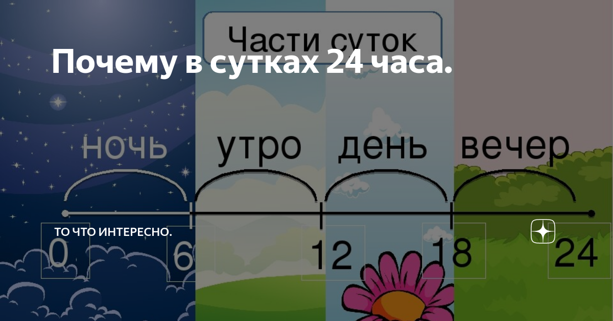 Сутки длятся 24 часа