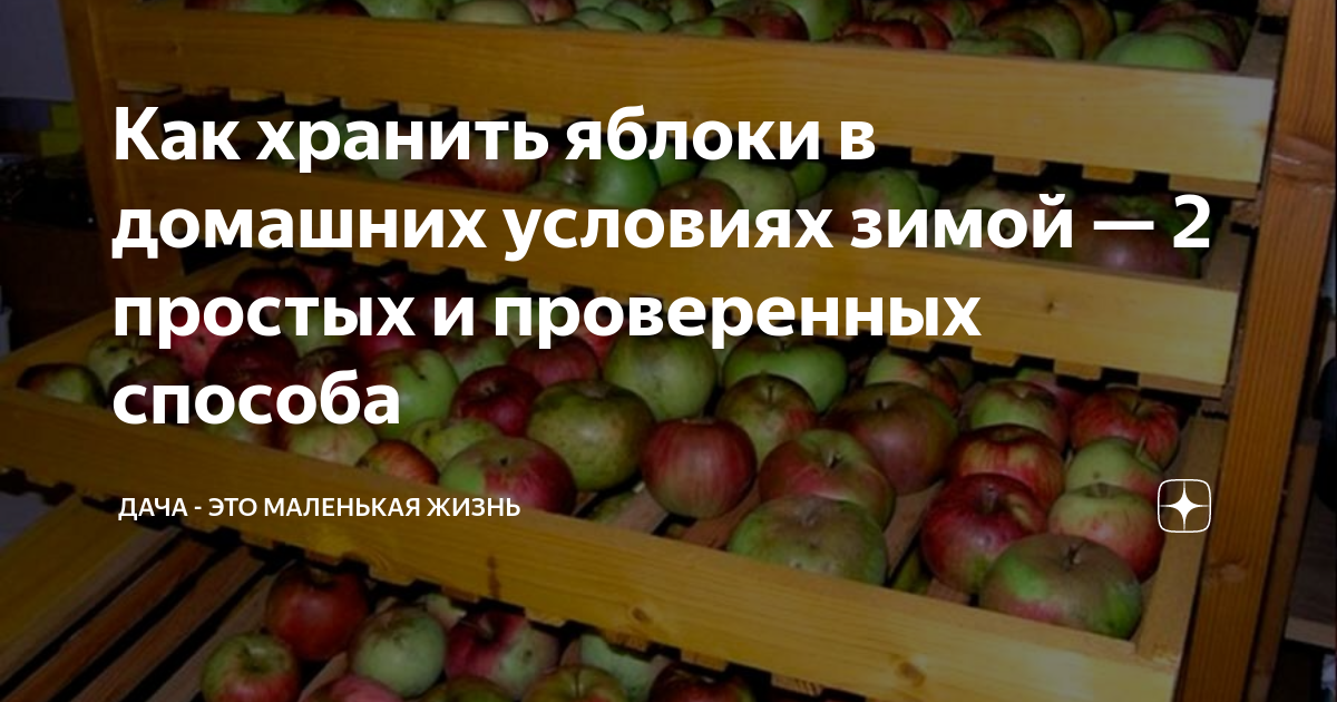 Как сохранить яблоки на зиму в квартире. 1 Яблоко в день. Как хранить яблоки на зиму. Что будет если съедать одно яблоко в день.