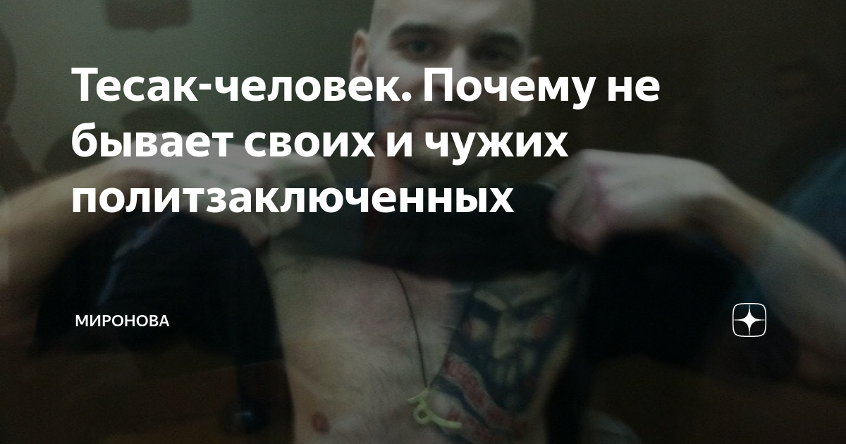 Фразы тесака