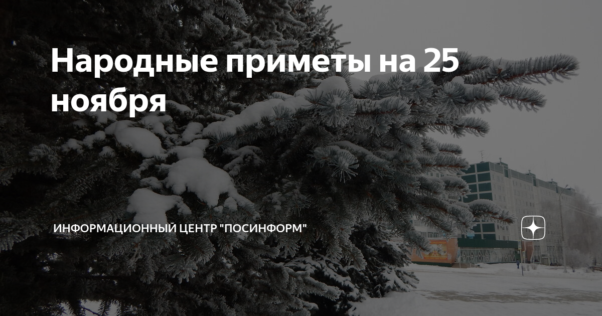 народные приметы на 9 февраля 2023 года открытки красивые. 25 июля народные приметы.
