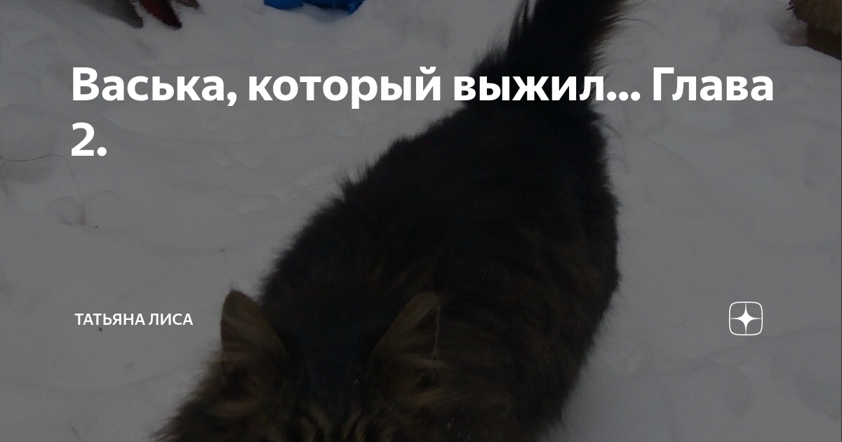 Кот который форсится в ТТ.