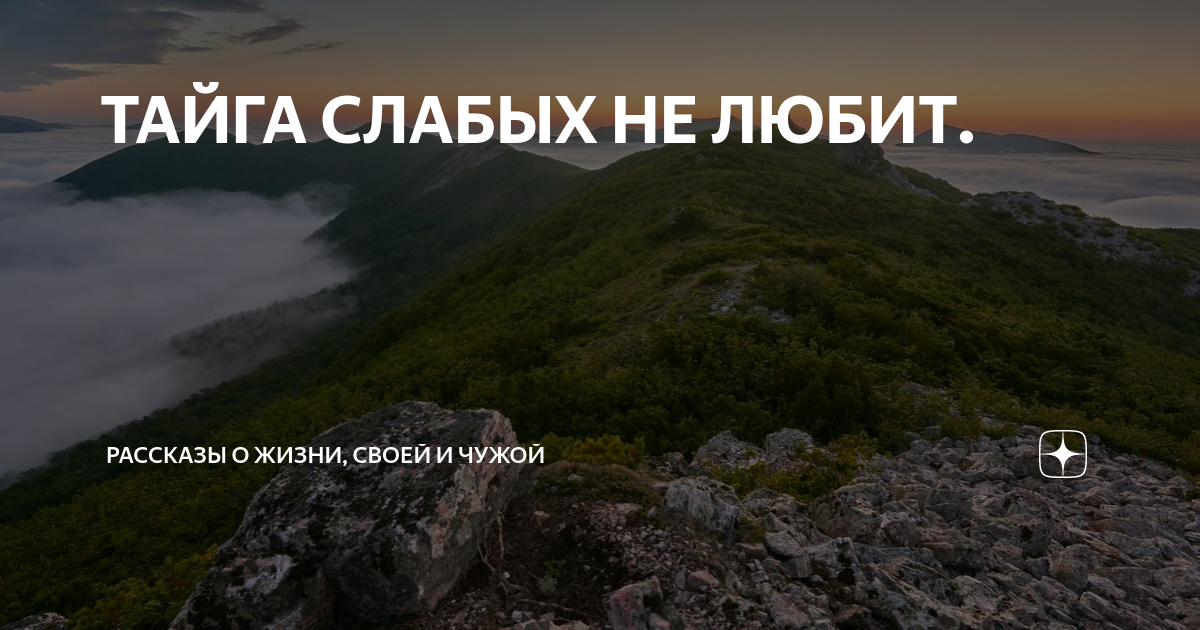 Спорт тв лого уз. Чужая дзен рассказ 16. Жить за чужой счет арт. Чужая дзен рассказ 16. Чужая дзен рассказ 16.