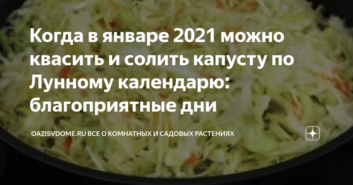 КОГДА СОЛИТЬ КАПУСТУ, чтобы была вкусной? Лучшие даты 2022 по лунному календарю 