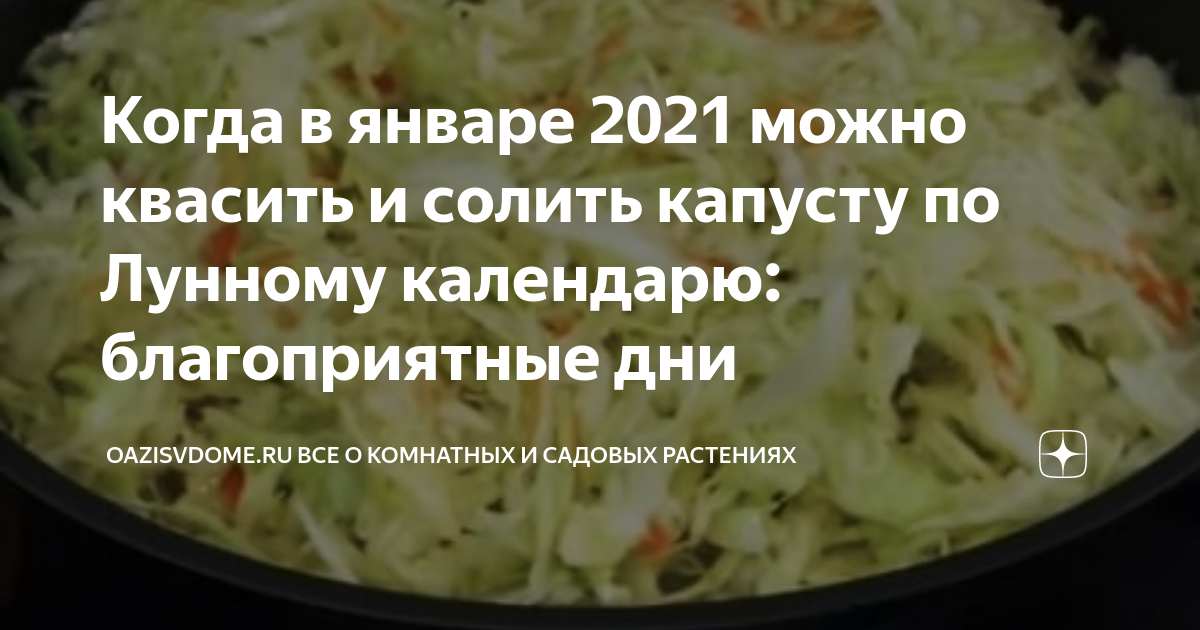 Солим капусту на зиму в 2023 году