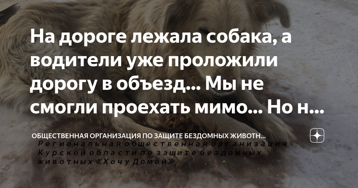 на дороге лежит мягкая. поломанные игрушки. спать сон. на дороге лежит мягкая и теплая. женщина лежи на полу.