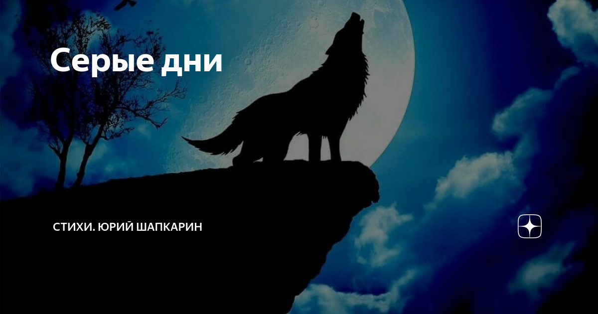 Серый день стих. Серый день стих. Посмотри в свое окно стих. Пограничник г ладонщиков. Учитель и.