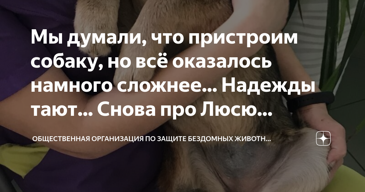 таю надежду