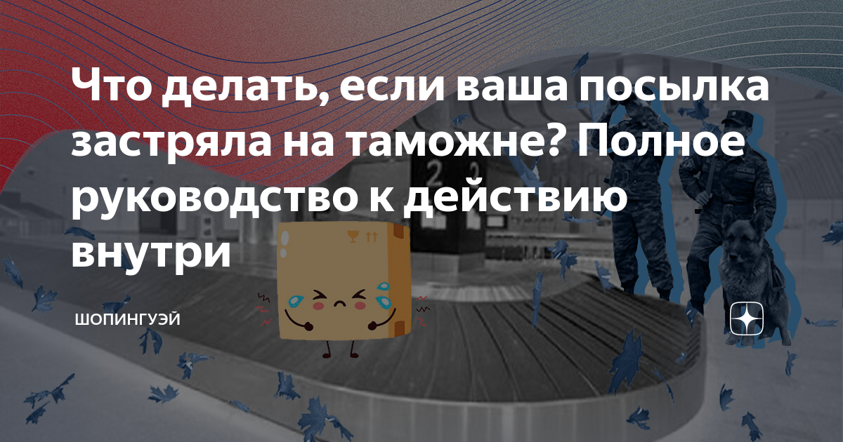 Что делать, если груз задержан на таможне Таможенный брокер Калипсо