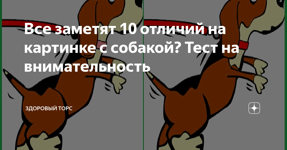 Тест на собаку. Тест помоги собаке на этой картинке изображена собака. Если вы увидели собаку тест.