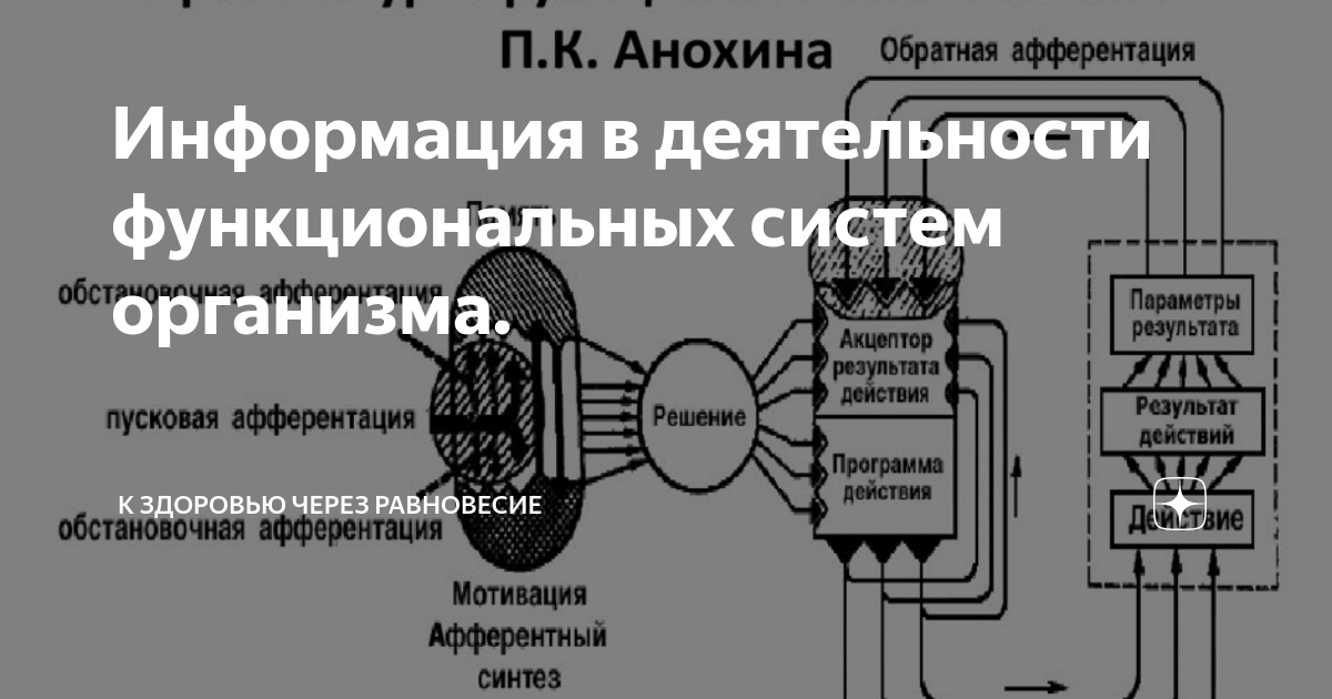 Структурная и функциональная схема - Basanova.ru