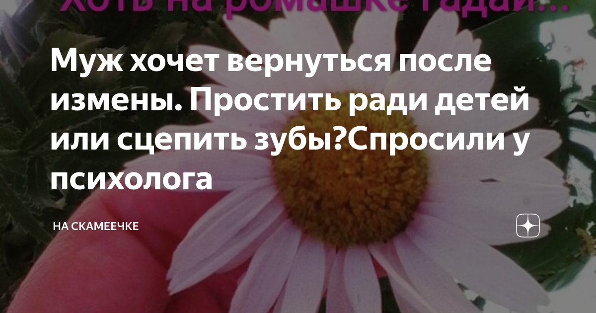 бывшая хочет вернуться после измены
