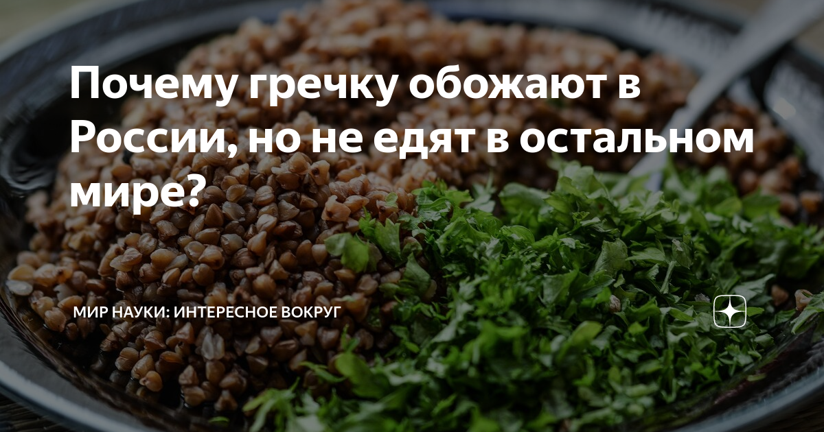 Почему гречку обожают в России, но не едят в остальном мире? | МИР НАУКИ:  интересное вокруг | Дзен