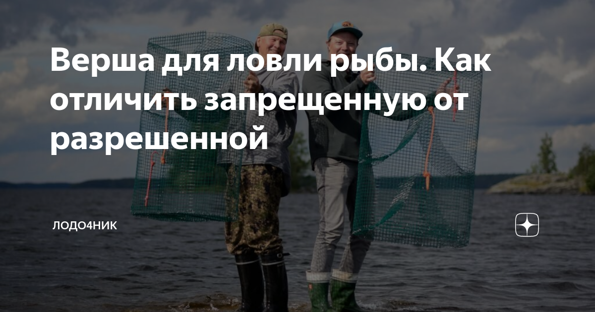 высказывания про рыбалку. надпись для рыбака. надписи про рыбалку. афоризмы про рыбалку. шутки про рыбаков.