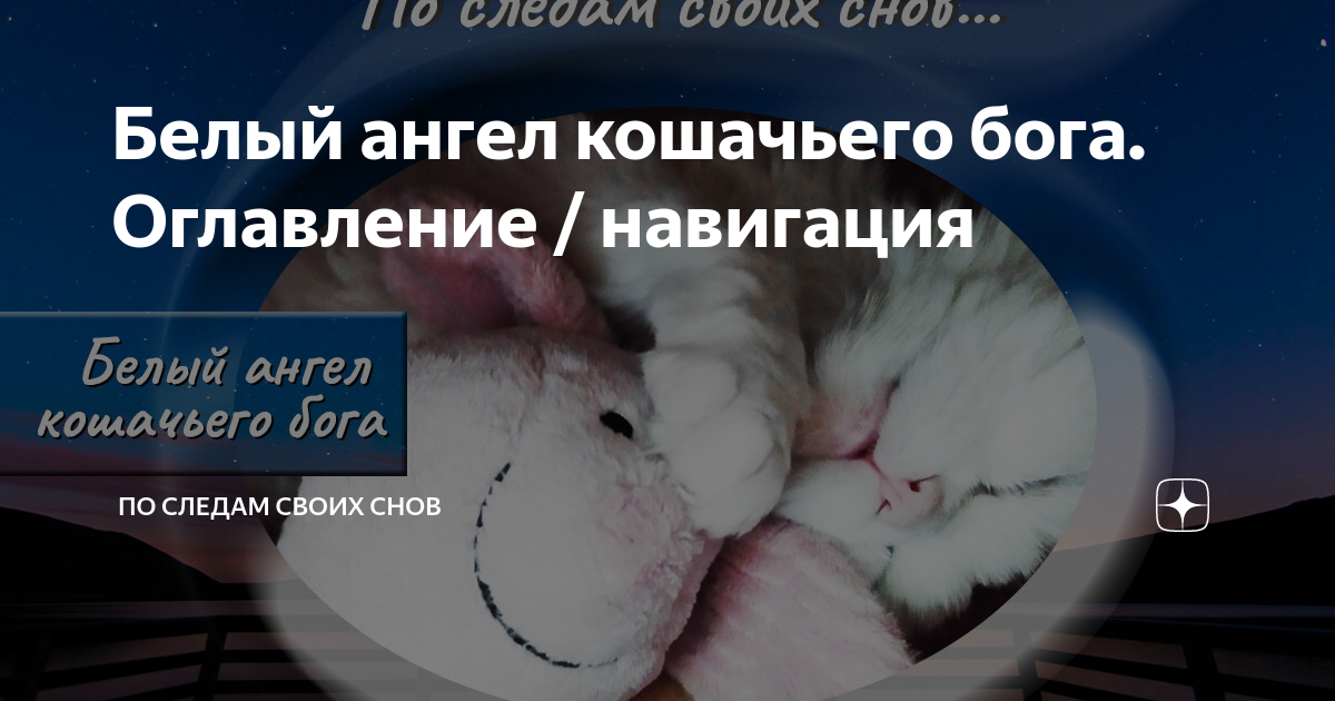 По следам своих снов дзен