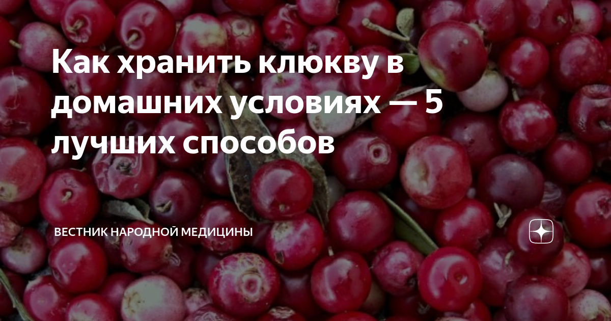«Холодные» способы заготовки клюквы