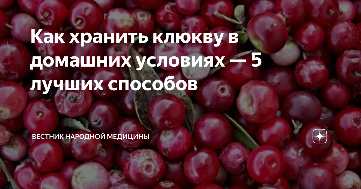 Лучшие способы хранения клюквы на зиму: советы для домашнего сохранения